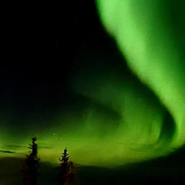 Laskijantie10C2，位于于莱的酒店