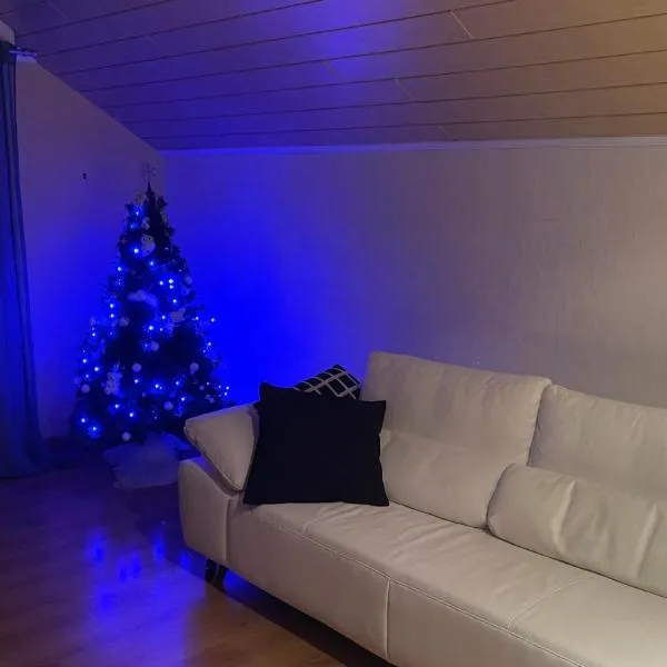 Appartement entier, calme, confortable et spacieux，位于Gundershoffen的酒店