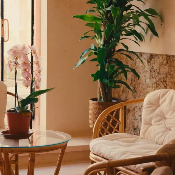 Casa Sofía Centro，位于梅里达的酒店