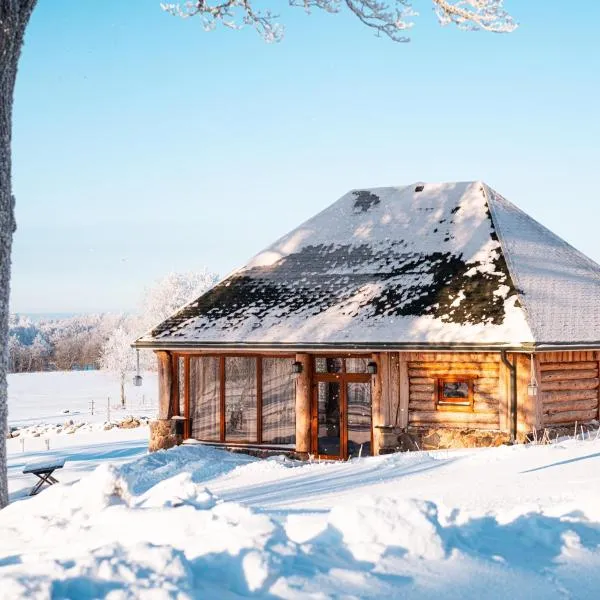 Metsapiiga Puhkemaja，位于Vilina的酒店