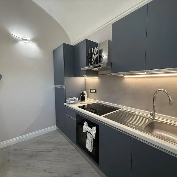 Il Ciuffo Apartments，位于韦尔切利的酒店