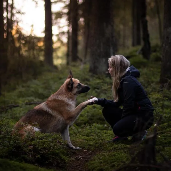 Juhlamenot Oy，位于Söderkulla的酒店
