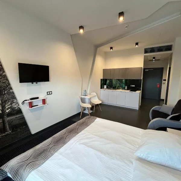 Hotel Orion Chełmiec koło Nowego Sącza，位于Chełmiec的酒店