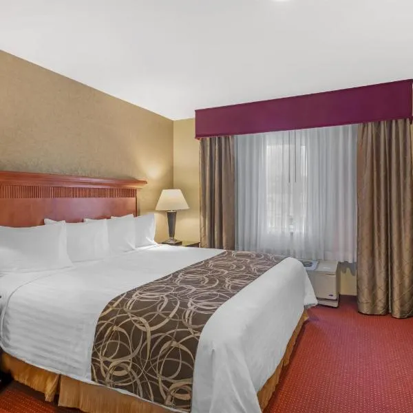 峡谷杉木贝斯特韦斯特PLUS酒店，位于奥格登的酒店