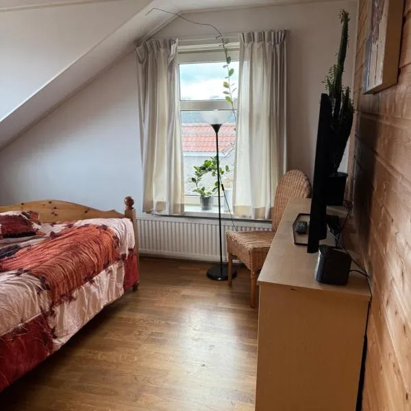 Bed en breakfast，位于Stad aan ʼt Haringvliet的酒店