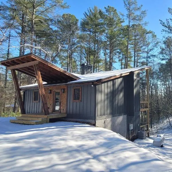 Lux Blue Ridge Cabin, Hot tub, Swing, PingPong!，位于米纳勒尔布拉夫的酒店