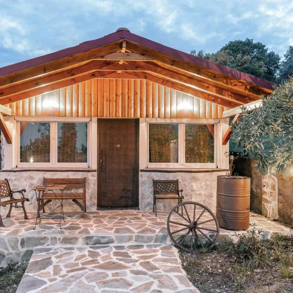 challet Nestor，位于帕拉塔蒙的酒店