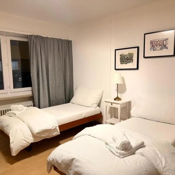 Hostel City Basel 306，位于巴塞尔的酒店