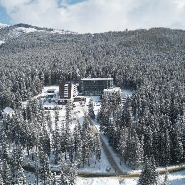 Hotel Pestera Wellness & Spa，位于锡纳亚的酒店