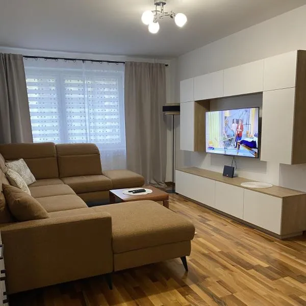 Apartament Wysoka Brama，位于瓦尔米亚地区利兹巴克的酒店