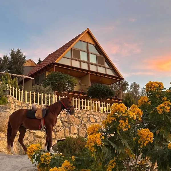 Dana luxury huts，位于达纳的酒店