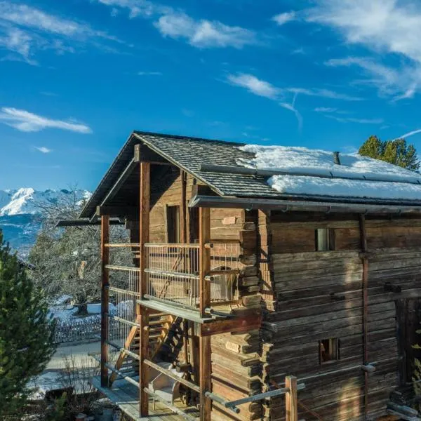 Les Mazots du Hameau des Biquettes - Charme Alpin et Cuisine équipée，位于韦尔科兰的酒店