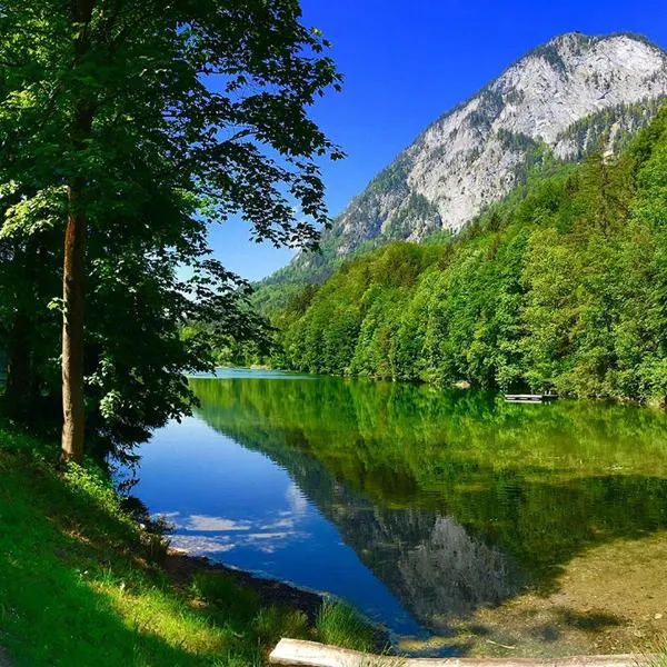 Gasthof Stimmersee，位于Langkampfen的酒店