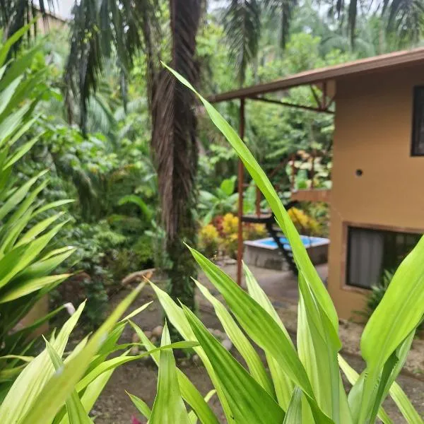 Villas Corcovado-AC-Jacuzzi-Pool-Great Views-Nature-Relaxing，位于希门尼斯港的酒店