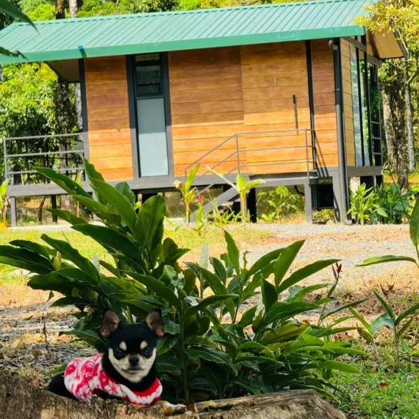 Cabañas La Hermosa #1，位于瓜皮莱斯的酒店