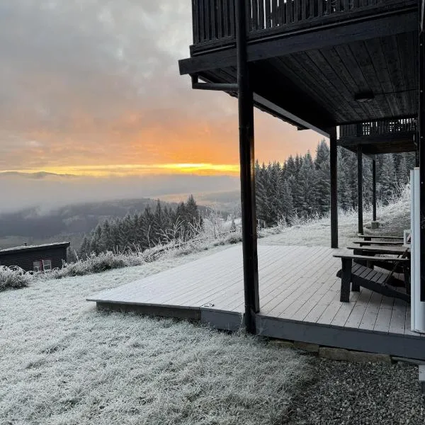 Apartment with a view at Bavallen Tråstølen Voss，位于沃斯的酒店