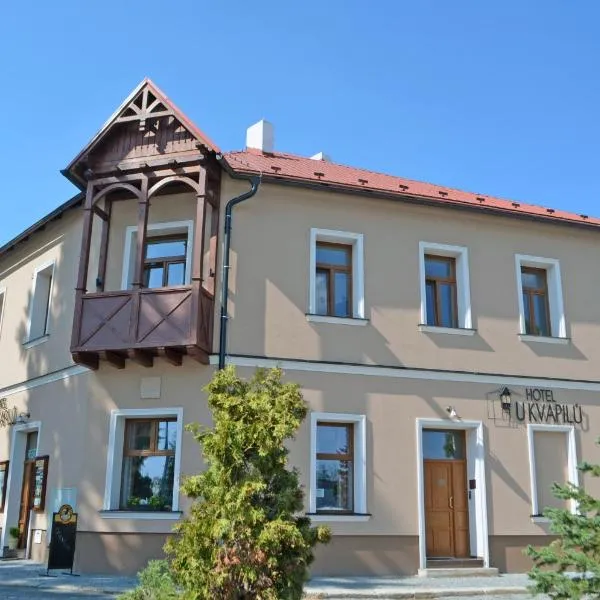 Hotel U Kvapilů，位于Branžež的酒店