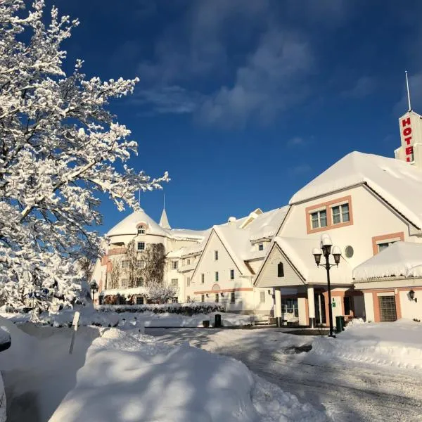 奥拉夫农场北欧之选酒店，位于斯基腾的酒店