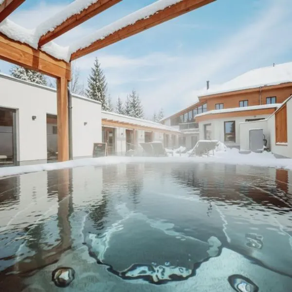 霍拉尔酒店，位于罗斯诺夫·波德·拉德霍斯滕的酒店