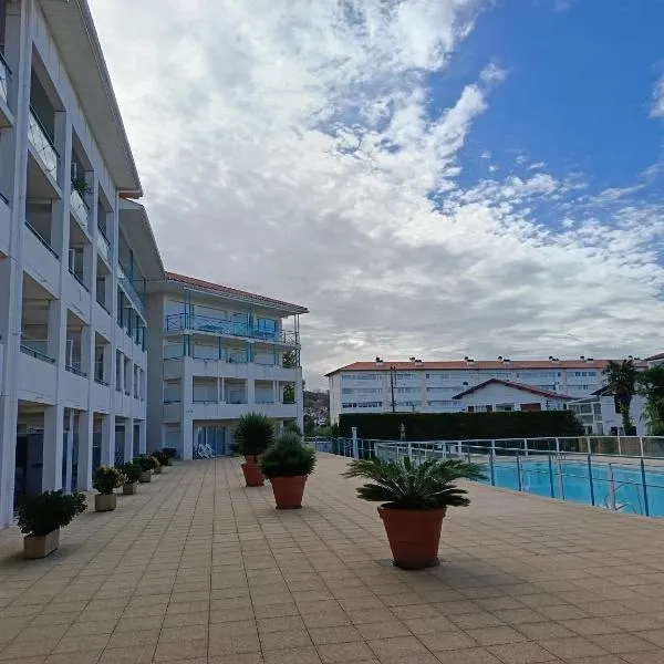 Appartement Ciboure golf et Nivel，位于西布勒的酒店