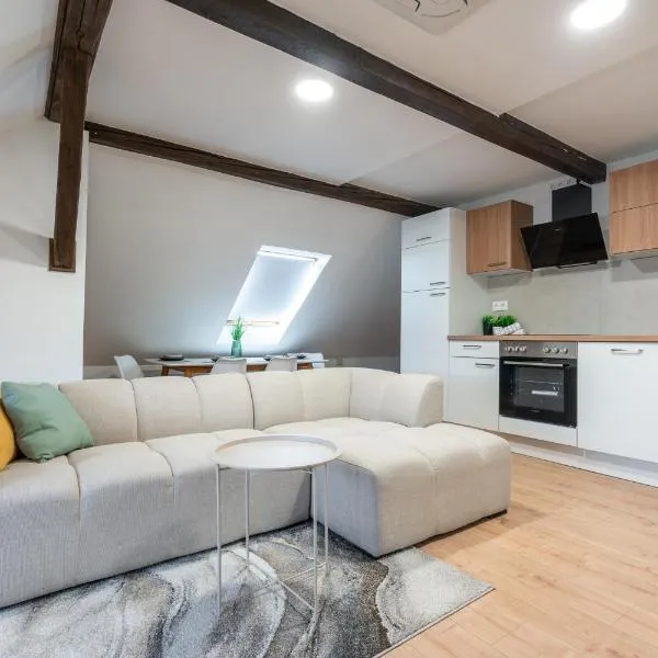 B-Home Apartments - Štýlový podkrovný apartmán 74 m2，位于特伦钦的酒店