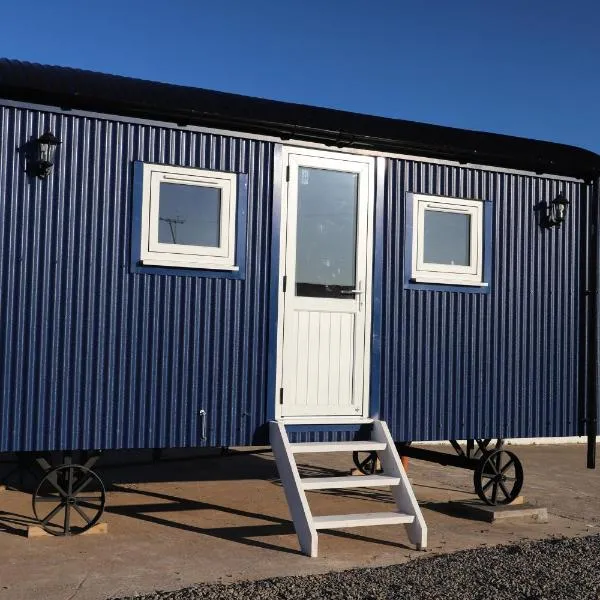 Burnside of Ae Glamping Shepherd's Hut，位于邓弗里斯的酒店