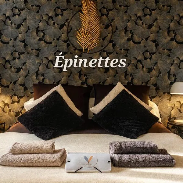 Les Epinettes chambres d'hôtes，位于Crèvecoeur-le-Grand的酒店