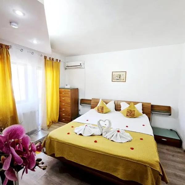 Pensiunea Red Rose Apartments，位于蒂米什瓦拉的酒店