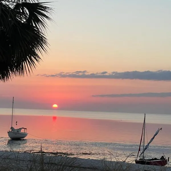 Cedar Key Turtle 132，位于锡达基的酒店