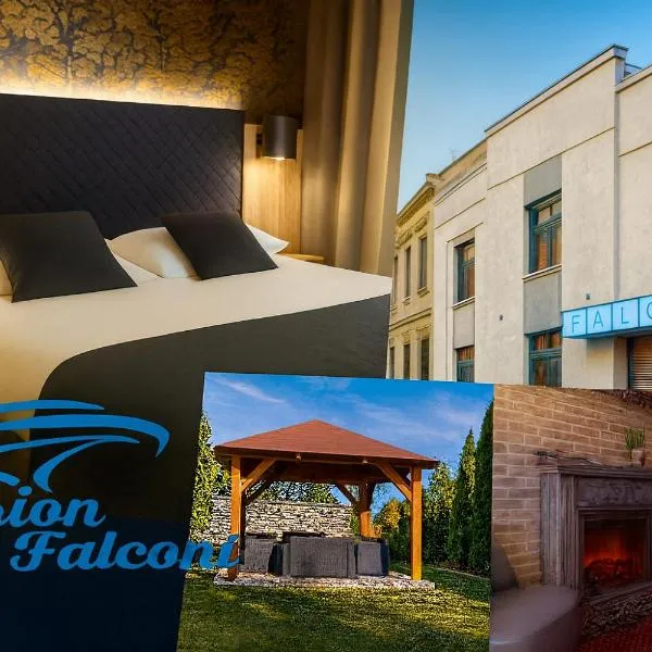 Pension Falconi，位于科林的酒店