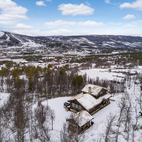 Large cabin with spectacular views in Geilo，位于耶卢的酒店
