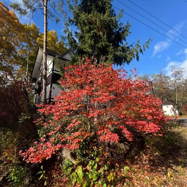 ALBERGO DEL PESCATORE，位于Minamiaizu的酒店