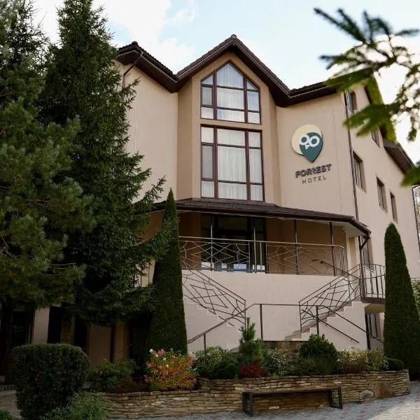 Forrest Hotel，位于斯基希德尼萨的酒店