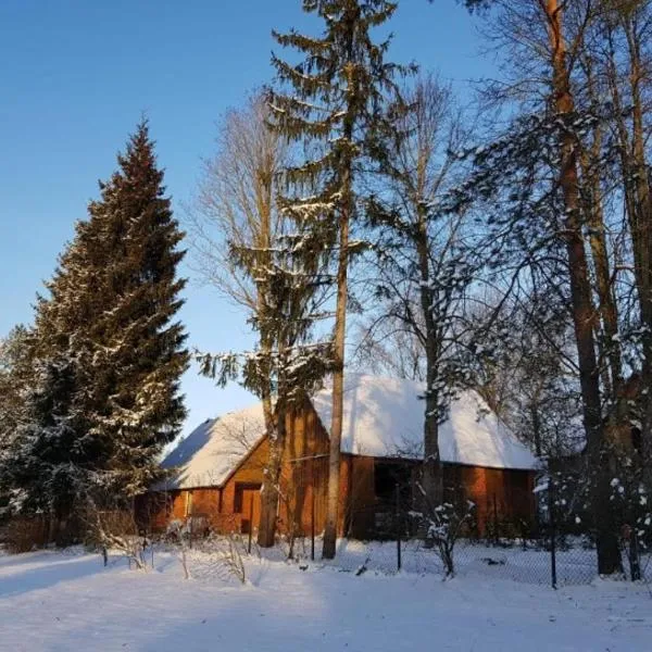 Namiņš Brīviņi，位于Jaunjelgava的酒店