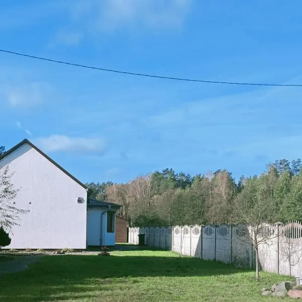 Leśny Domek，位于Piłka的酒店