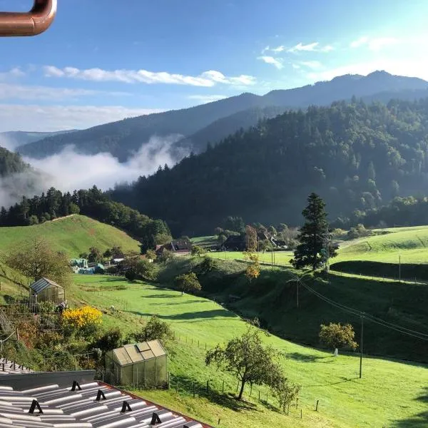 Daislehof，位于明斯特塔尔的酒店