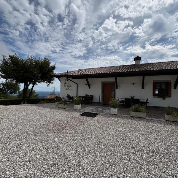 Agriturismo Verde Friuli，位于Forgaria nel Friuli的酒店