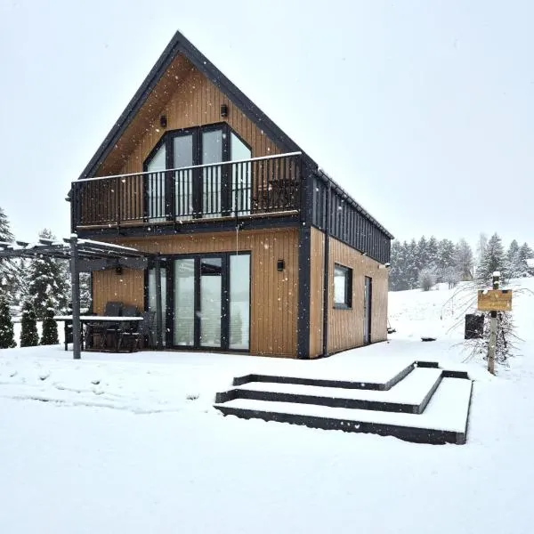 Domek Noclegowy JoWish，位于Strachocina的酒店