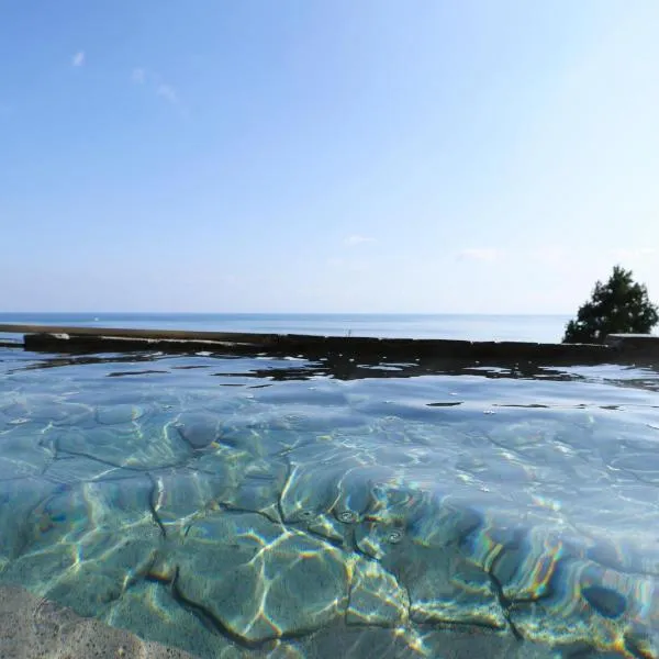 武迷阿卡里酒店，位于冰见市的酒店