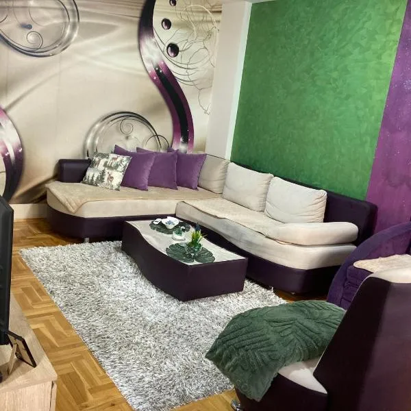 Apartman Aleksandar，位于新瓦罗什的酒店