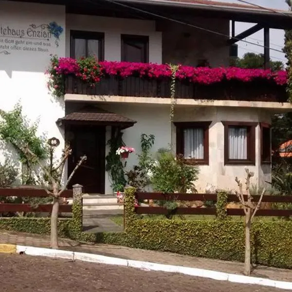 Hospedaria Gãstehaus Enzian，位于特雷齐蒂利亚斯的酒店