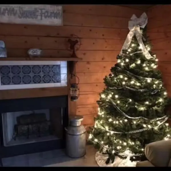 Cozy, pet friendly cabin perfect for the holidays!!，位于布兰森的酒店