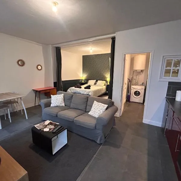 L'Albuconis 1 Grand Studio，位于奥比松的酒店