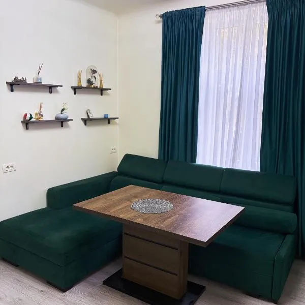 Apartament situat langa Palatul Parlamentului,位于布加勒斯特的酒店