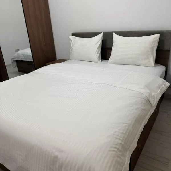 Studio Militari Residence，位于Roşu的酒店