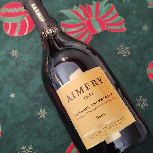 Carcassonne nearby Heated home with free sparkling wine，位于Badens的酒店