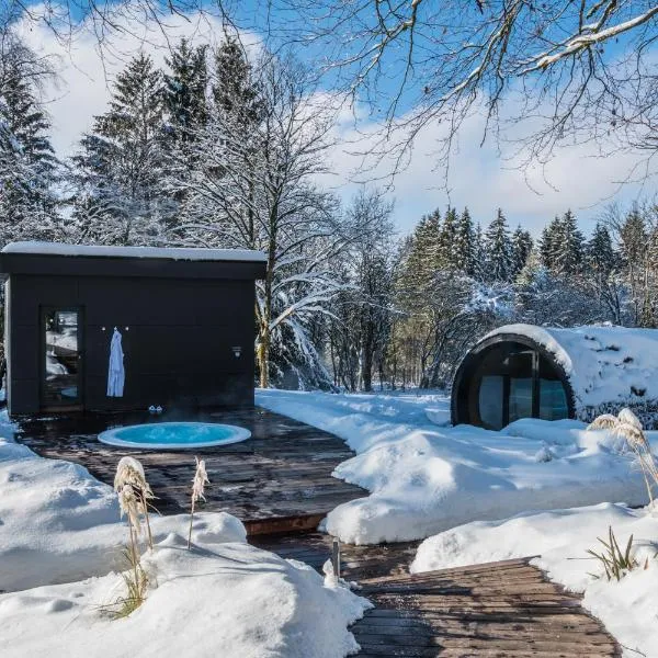 德斯法尼斯多美酒店，位于奥维法特的酒店