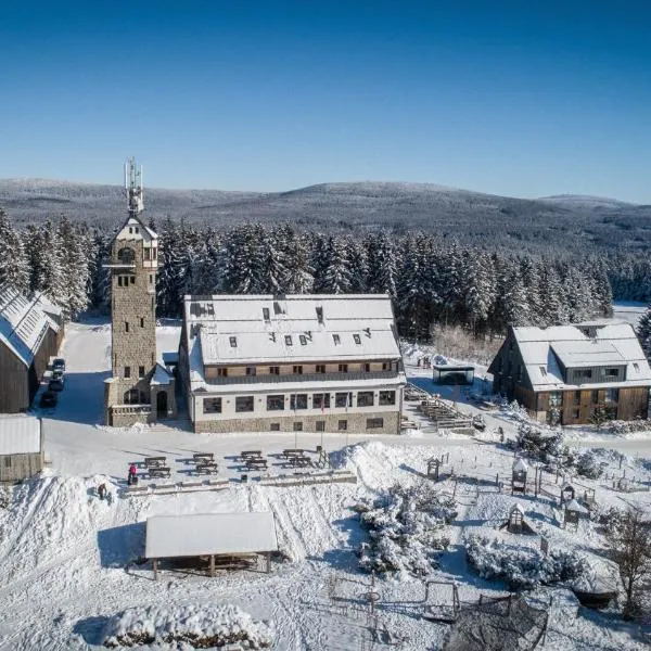 Hotel Královka，位于贝德日霍夫的酒店