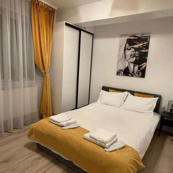 Yellow Apartment，位于弗洛雷什蒂的酒店