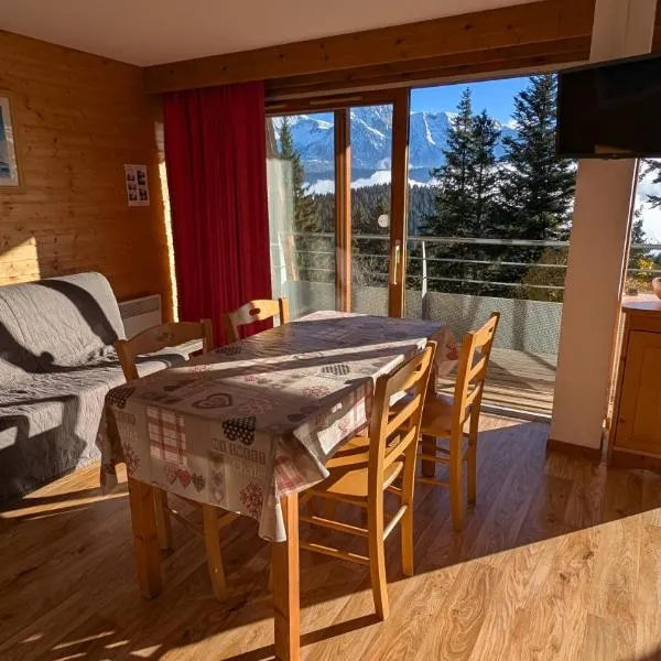 Chamrousse 1700 Villages du Bachat Epicéa,位于尚鲁斯的酒店